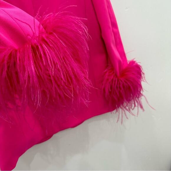 NWT Zara Pink Straight Cut Blazer With Feather Cuff Sleeves. Blogger fave! - Picture 15 of 15